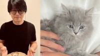 【 ねこ 】高橋克典さんが仔猫1頭を迎える　黒木瞳さん宅より　「なんて可愛い」「大切にします」