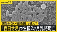 「百日せき」3週連続で患者数過去最多　生後2か月の乳児が死亡　薬が効かない「耐性菌」で感染拡大か【news23】