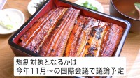 あす19日は「土用の丑の日」 うなぎの稚魚豊漁で“去年より安い”店も「高いから嬉しい」 国際取引の規制強化案で価格高騰の可能性も
