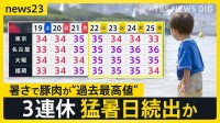 関東甲信など梅雨明け発表…3連休は各地で猛暑日続出か　厳しい暑さの影響で豚肉は“過去最高値”に　チャーシューが売りのラーメン店は…【news23】