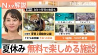 テーマパーク料金高騰の裏で…人気を集める“お財布いらず”の遊び場　「工場見学」「自衛隊トラック体験試乗」なども【Nスタ解説】