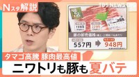 物価の優等生が「高級品に」　産地も北上？猛暑による影響大きい一方、夏野菜の生育は順調か【Nスタ解説】