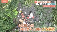 河川敷のBBQ客が大量のごみ放置…多摩川上流の周辺住民「腹が立つ」ボランティア「マナー守って」