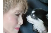 【 小柳ルミ子 】　愛犬・ルルの死を悼み　松田聖子さんからお花が届いたことを報告　「心から感謝です　涙が止まりません」