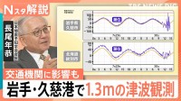 岩手・久慈港で1.3mの津波観測「防波堤を超える波も」広範囲に津波警報、交通機関にも影響が【Nスタ解説】