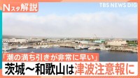 津波は「波」でなく水の「壁」　専門家が提言する地震の“距離”に応じた最適な避難行動【Nスタ解説】