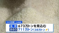コメ需要 見通しより38万トン上振れ “見通し誤り高騰”の可能性も　農水省