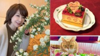【 伊藤蘭 】手首骨折から回復祝いに “美樹さんからのケーキ” 　医療従事者たちへの感謝を伝える　愛猫チュニもご満悦