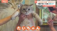 “あるお店の名前”を叫ぶネコ「ニャー」ではない鳴き声とは？　お腹が空いたときに思わず出ちゃう「3文字」をお聞きください