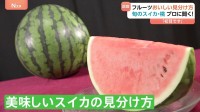 スイカは黒い種に注目！メロンは卵型が甘い！？ 夏が旬のフルーツ「おいしいものの見分け方」は？スーパー＆農家のプロに聞く！