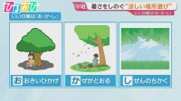 毎日続く厳しい暑さ…今年の猛暑への対策は？　【ひるおび】