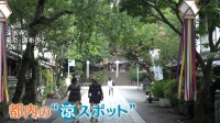 “猛暑知らず”8月平均気温27℃の避暑地・北茨城市＆都心からアクセス良好の深大寺が人気！涼しさの理由とは？