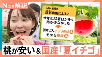 今年の桃が安くて甘い！　最高金賞受賞の“過疎地域”が作る夏イチゴとは【Nスタ解説】