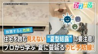 夏も危険な「カビ」見えない“夏型結露”に要注意！壁の中のカビを見抜くサインは？プロに聞きたいカビの疑問【ひるおび】
