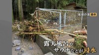 厳しい暑さの中での撤去作業 お盆のお墓参りにも影響が 断水している地域も… 道の駅の温泉施設が再開「疲れがとれる」