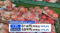 野菜価格 「トマト」「にんじん」は平年より2割高い　夏の高温や少雨で大きく育たず