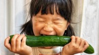 【 ののちゃん 】大きなきゅうり「まるかじり！！！」　 “前歯ないけどがんばってます” 　妹・ひーちゃんもがんばる
