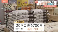 逆に“コメが安すぎる”…お隣・韓国の「コメ事情」とは?　「5キロ約1500円」で店頭に　日本のコメ市場狙う思惑も