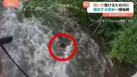 飼い犬を助けるため川に飛び込む　難航する救助の一部始終