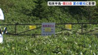 夏の観光に影響　北海道知床半島の羅臼岳　クマに襲われ男性死亡で　観光名所・知床五湖や知床連山にむかう登山道はきょう（16日）も閉鎖