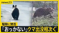 相次ぐクマ出没！今年度すでに全国55人が被害　“おっかない”住民からは不安の声…クマの駆除「賛成」or「反対」 そして人間との共存は？【news23】
