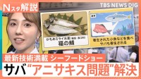 魚の皮が1秒でむける？ サバの“アニサキス問題”も解決　最新技術満載のシーフードショー【Nスタ解説】