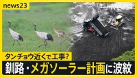 釧路・メガソーラー工事で波紋広がる　自然豊かな湿原周辺で何が　工事計画めぐる様々な声【news23】