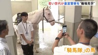 皇室守る「皇宮警察」が高校生らに向け職場見学会　白バイやサイドカー見学　「騎馬隊」の馬との記念撮影も