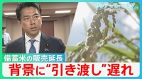 「大変嬉しい決定」備蓄米販売期間を9月延長も…背景に“引き渡し”の遅れ　新米高騰で続くコメ価格の二極化【サンデーモーニング】