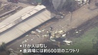 埼玉・坂戸市で突風被害か　ニワトリが約600羽いた養鶏場の屋根や複数の電柱が倒れる　約770軒が一時停電