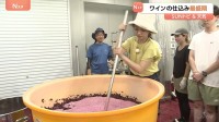 「おいしいワインができると思います」ワインの仕込み最盛期　今年は雨が少なくしっかり熟したブドウに【SUNトピ】