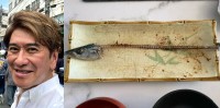 【 川﨑麻世 】 「ご馳走さんま」　秋刀魚を完食　妻・花音さん「綺麗に食べるね！猫が嫌がる食べ方だね！」