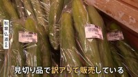 今年は“観測史上最も暑い夏”キュウリ5本108円も…高温障害？野菜価格に猛暑が影響