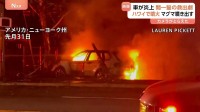 「運転手を救出して」車が炎上 “救出劇”に火の玉投げ合う伝統行事！イルカの大群に遭遇「100頭いた！？」　カメラがとらえた驚きの瞬間映像