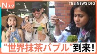 世界“抹茶バブル”到来！茶葉の価格が2倍に！？外国人が抹茶に魅了されるワケ！ルーツを徹底調査 「仕掛け人」を直撃！【それスタ】