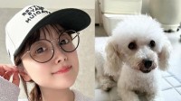【 鈴木奈々 】 「新しい家族が増えました」　5匹目の保護動物を迎え入れ喜び　白いふわふわトイプードルが仲間入り