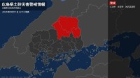 【土砂災害警戒情報】広島県・三次市に発表 11日22:10時点