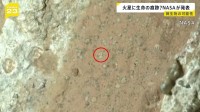 “火星に古代生命の痕跡？” NASAが発表「微生物の痕跡と思われるものを見つけた」 火星探査車が去年採取した岩についていた物質
