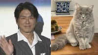 【 ねこ 】高橋克典さん　愛猫ミルリィが「は、初めて返事してくれた」感涙の投稿