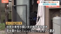 飼い犬の鳴き声を聞き窓を開けるとクマ「手が入ってきて…」 飼い犬は襲われ死ぬ　福島・喜多方市