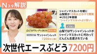 「シャインマスカットより甘い」ぶどうグランプリ2025大賞は2房7200円　次世代ぶとう誕生の裏側【Nスタ解説】