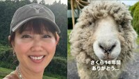 【 工藤夕貴 】　14年間・飼育した羊　「さくら」との別れを報告　「うちの裏庭をずーっと綺麗にしてくれていた」「本当にありがとう」