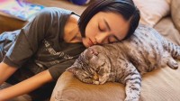 【 安達祐実 】愛猫を枕に「寝落ち」　フォロワー共感「猫ちゃん何か言いたげ」「どっしりボディ素敵」