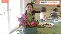 一つの鉢植えに季節の花々を自分好みに…ガーデニングの一種“寄せ植え” ポイントは？長くて2か月楽しめるものも【Sunトピ】