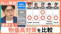 物価高対策は実現する？「地方交付金」「年収の壁」「5年で100万円増」…自民党総裁選 5人の政策を比較【Nスタ解説】