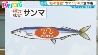 旬のサンマも要注意！「アイスピックで刺されるような激痛」アニサキス食中毒10月に多発【ひるおび】