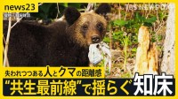 変わったのはクマか人か…「ヒグマの人慣れ」“共生最前線”知床で深刻化 “エサやり”・“クマ待ち”　問われる人間のモラル　8月には世界遺産登録後初の死亡事故も【news23】