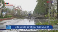 台風20号がベトナム直撃…竜巻も発生　13人死亡46人負傷