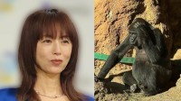 【 高岡早紀 】　「ゴリラに会ってきたよ」子育て時代を懐かしむ上野動物園で過ごした微笑ましいひととき