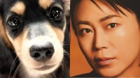 【 氷川きよし 】愛犬を祝福「コナくんの3歳の誕生日」　抱きしめる横顔にフォロワー祝意「KIINA.ママと幸せに」